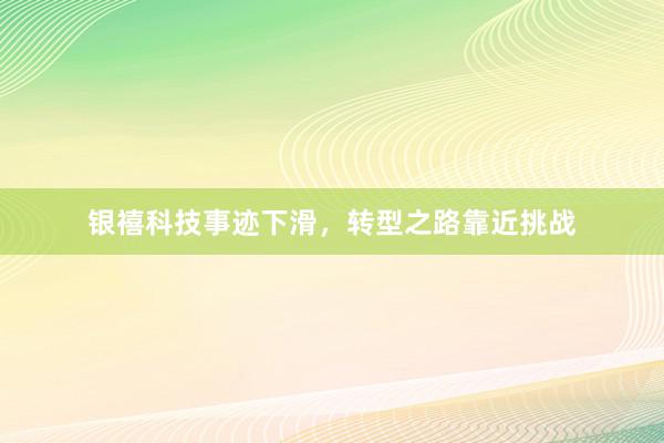 银禧科技事迹下滑，转型之路靠近挑战